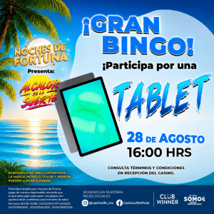 BINGO2
